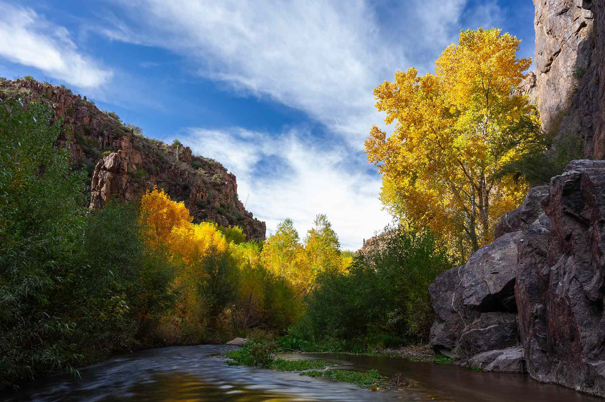 Peak Season: The Best Places in November
