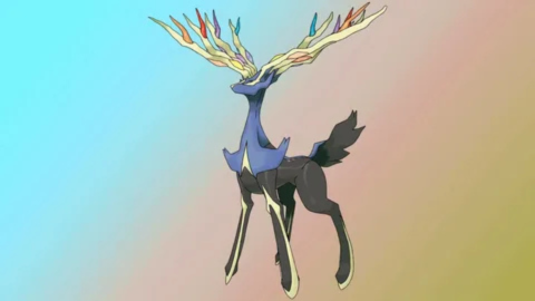 Xerneas Type and What It Means