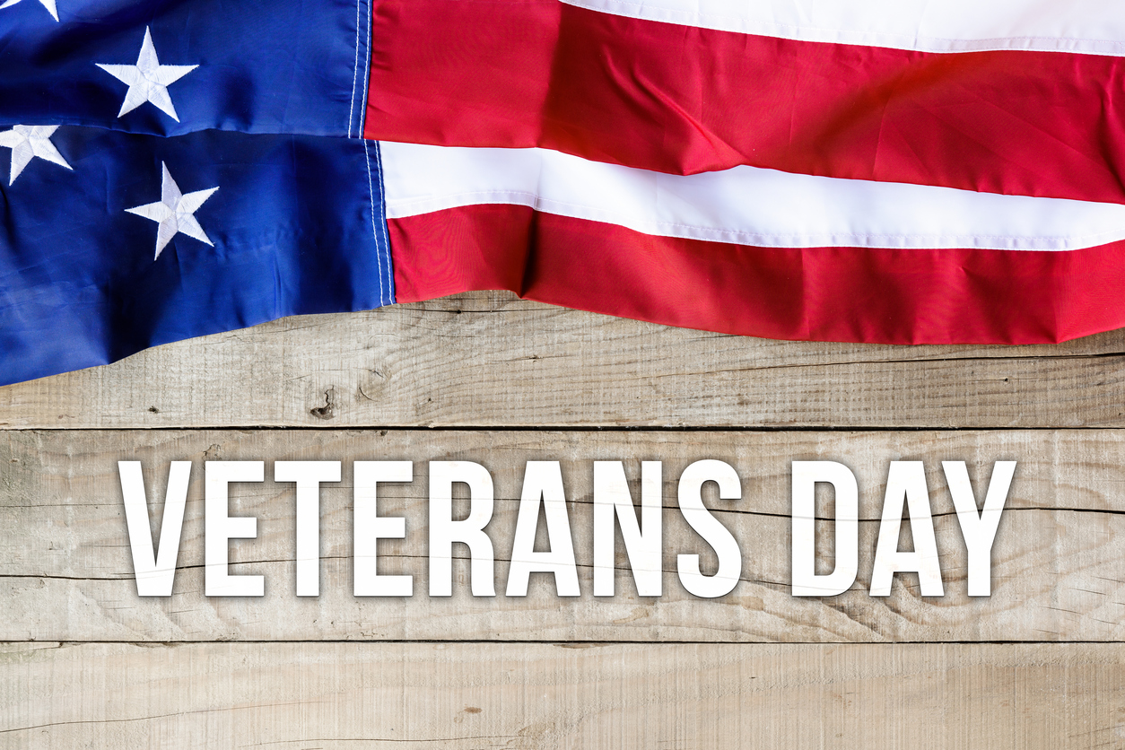 Veterans Day In America