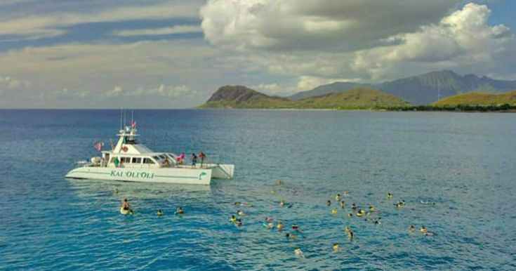 best places to snorkel in hawaii